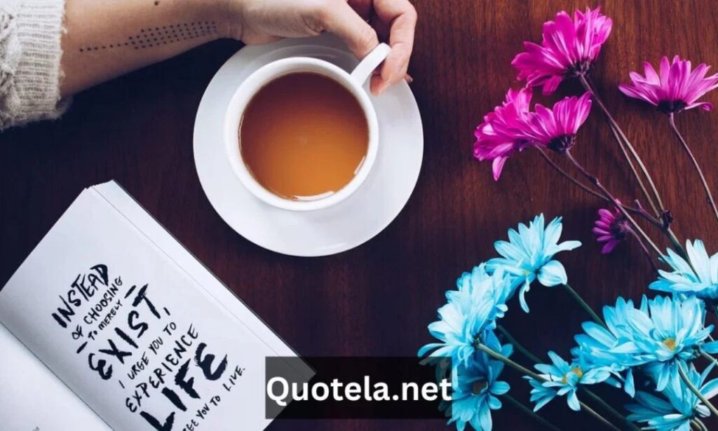Quotela.net: Enhance Your Daily Inspiration and Creativity