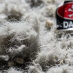 Asbestlint: Identifying and Managing Risks